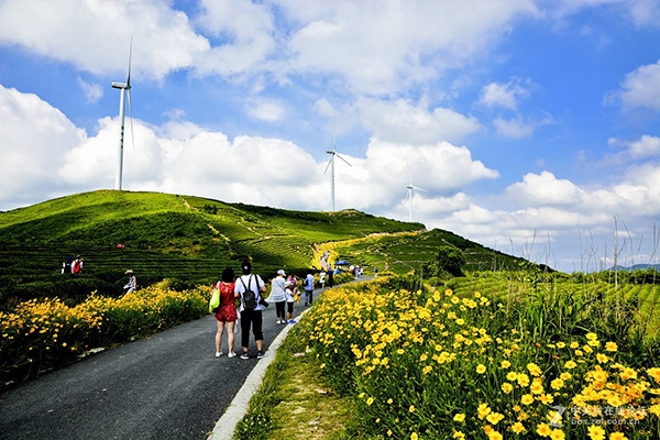 奉化鄞州交接風車公路